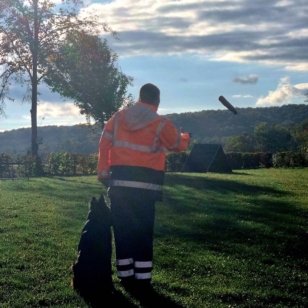 Übung mit den Hunden